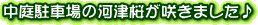 뒓ԏ̉͒Í炫܂